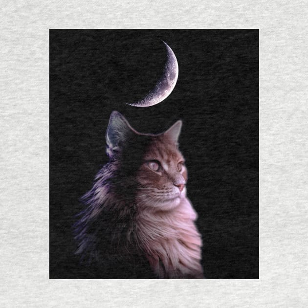 Moon Cat by Random Galaxy